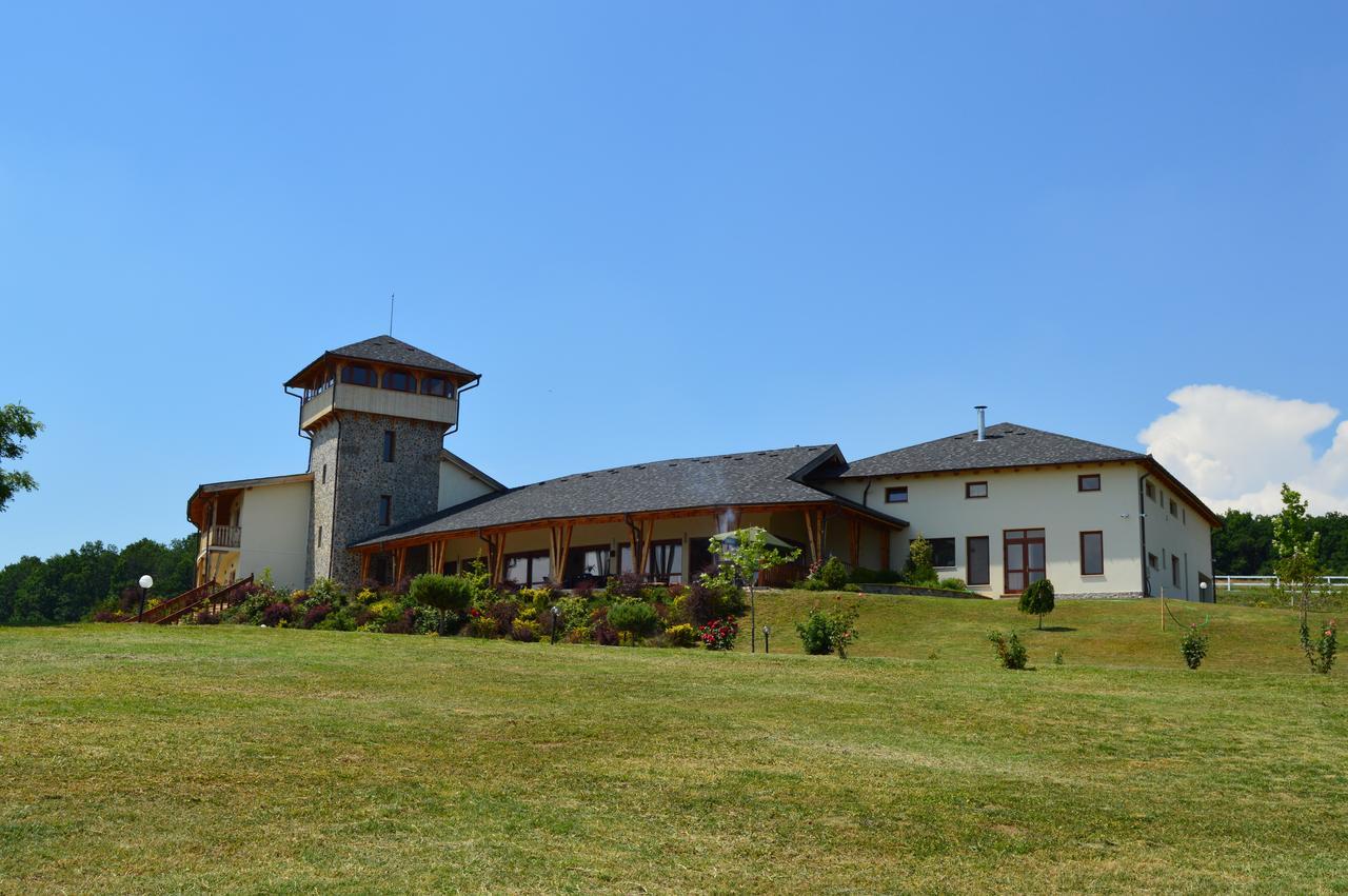 Pensiunea Casa Buna Gîrbova エクステリア 写真
