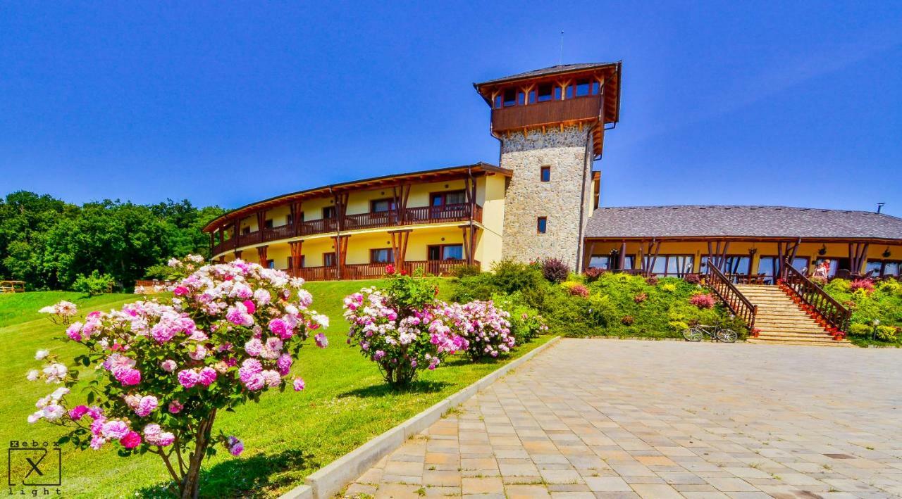Pensiunea Casa Buna Gîrbova エクステリア 写真